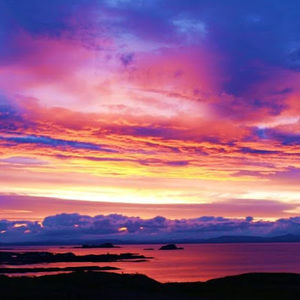 Meet your Posher, Adriana